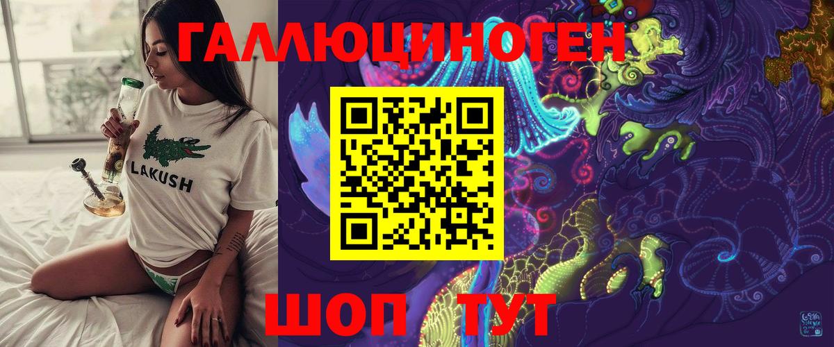 Псилоцибиновые грибы Psilocybe Тихвин